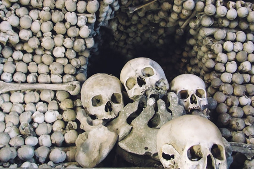 Private Kutna Hora & Bone Chapel Tour